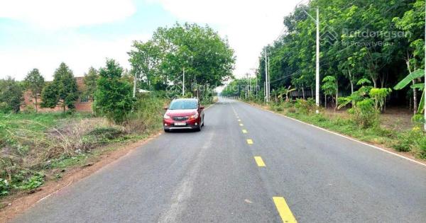Bán lô đất Bình Dương, 2500m2 có 200m2 thổ cư, giá 1,3 tỷ, sổ hồng riêng