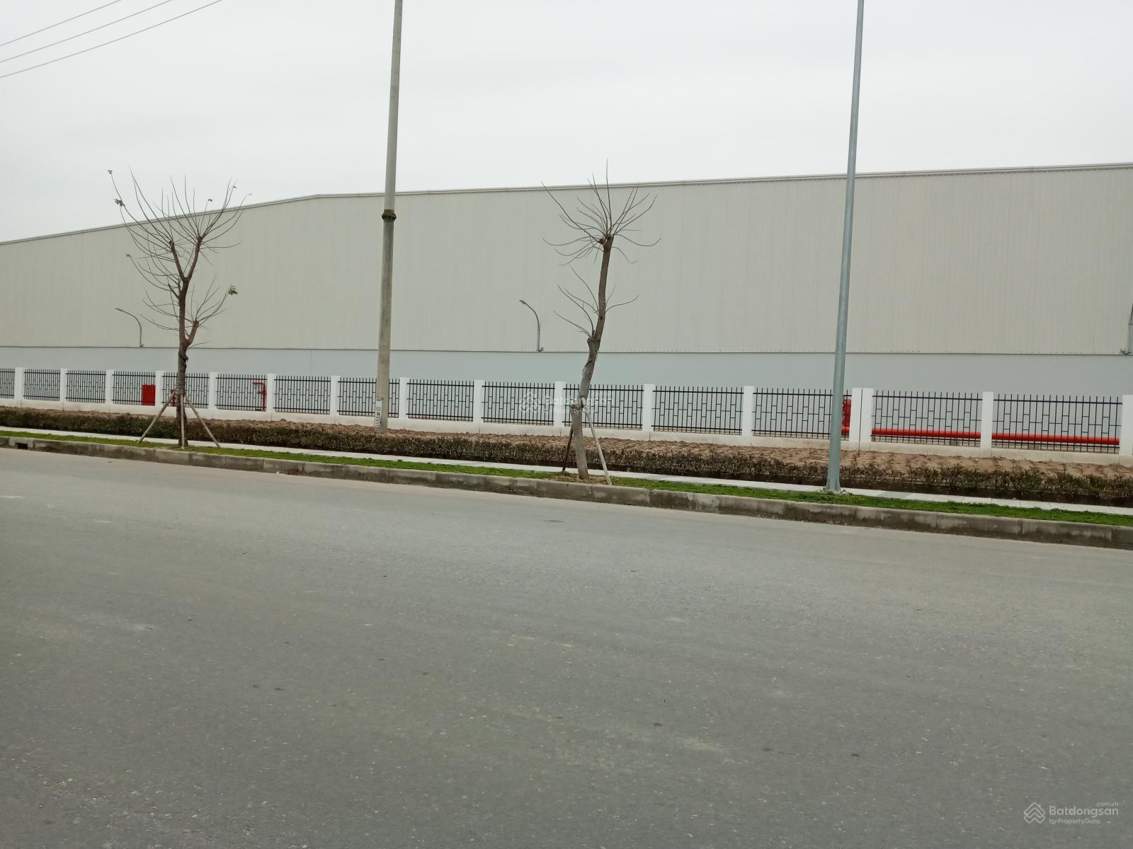 Kho xưởng cho thuê - đáp ứng mọi nhu cầu diện tích, sản xuất, lưu trữ, & giá cạnh tranh