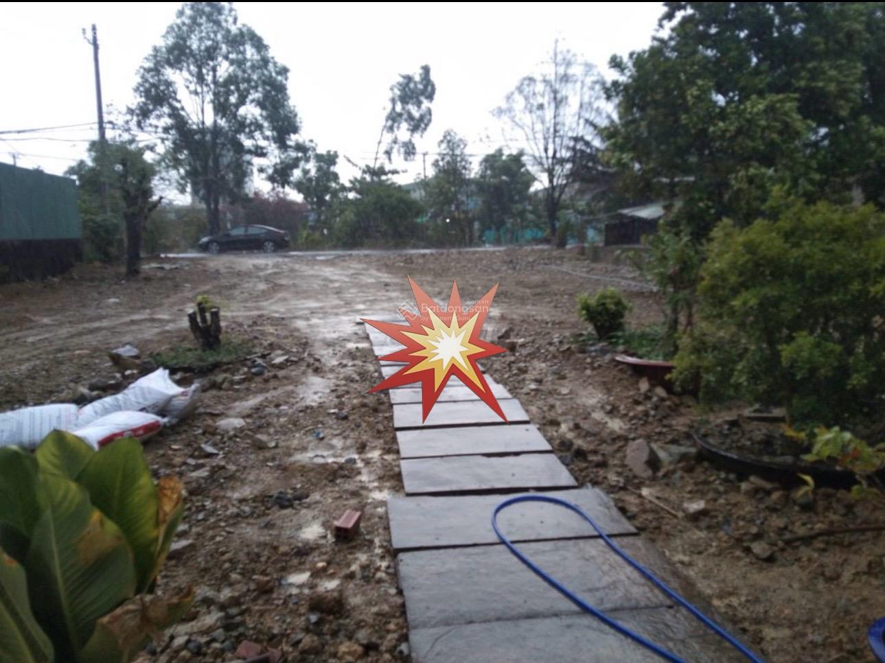 Đất 1168m2 có 250m2 thổ cư MT đường Lê Đình Chi, xã Lê Minh Xuân, Bình Chánh Đất 1168m2 có 250m2 thổ cư MT đường Lê Đình Chi, xã Lê Minh Xuân, Bình Chánh