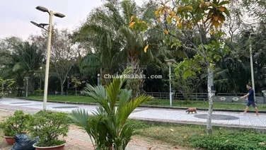 Giá tốt nhất Quận 7! Đất vị trí đẹp 5x18m,giá 8.6 tỷ mặt tiền đường số Phạm Hữu Lầu kế Phú Mỹ Hưng