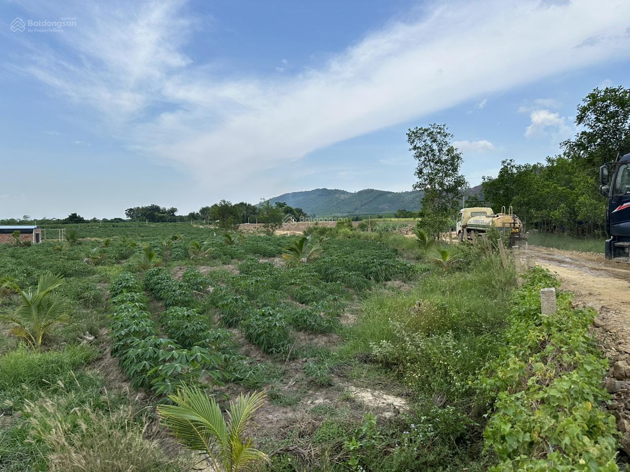 Bán lô đất có diện tích 650 m2 tại Ninh Xuân, Ninh Hòa, Khánh Hòa