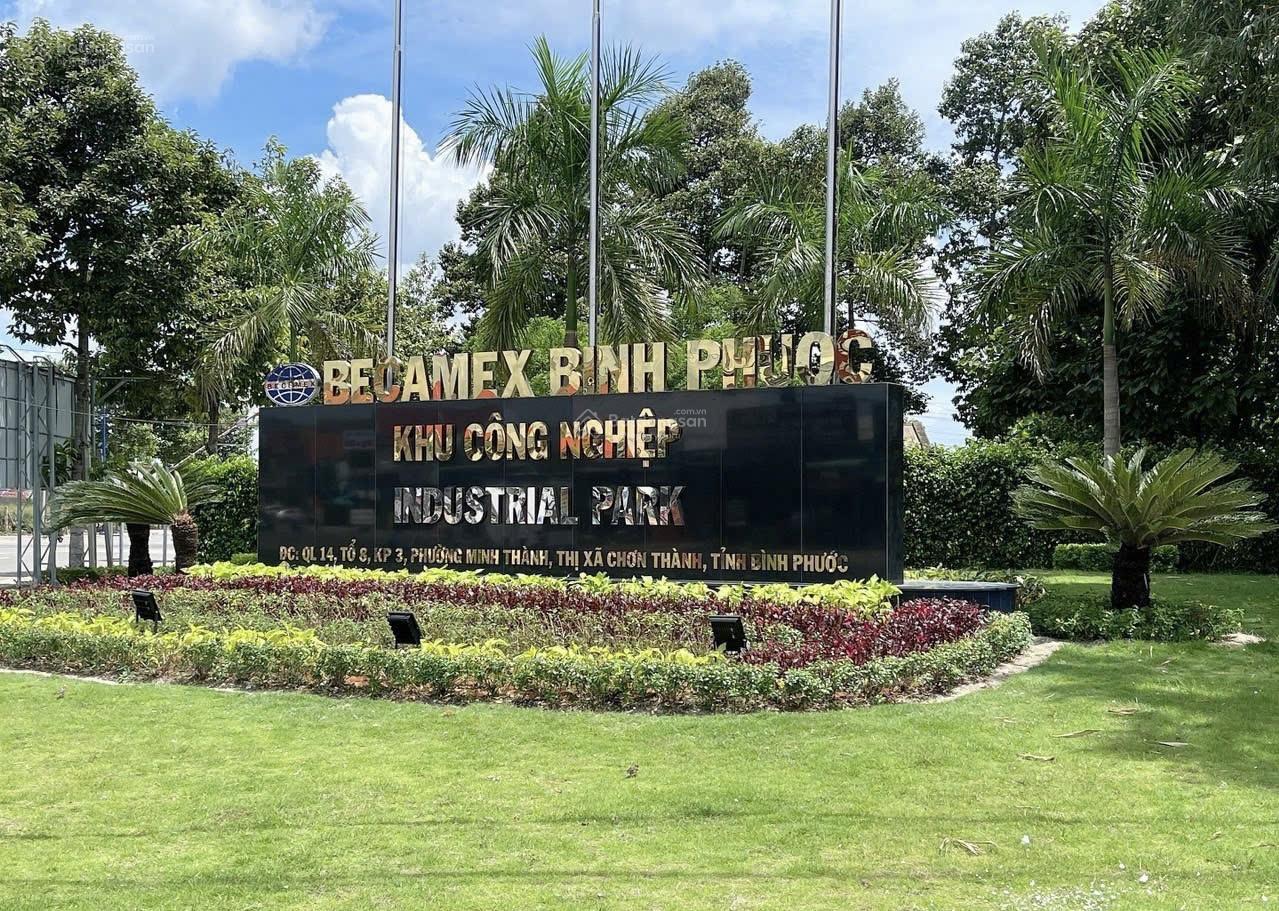 Ngợp rẻ Chơn Thành - mặt tiền đường nhựa số 33 - minh thành - chơn thành - tỉnh bình phước