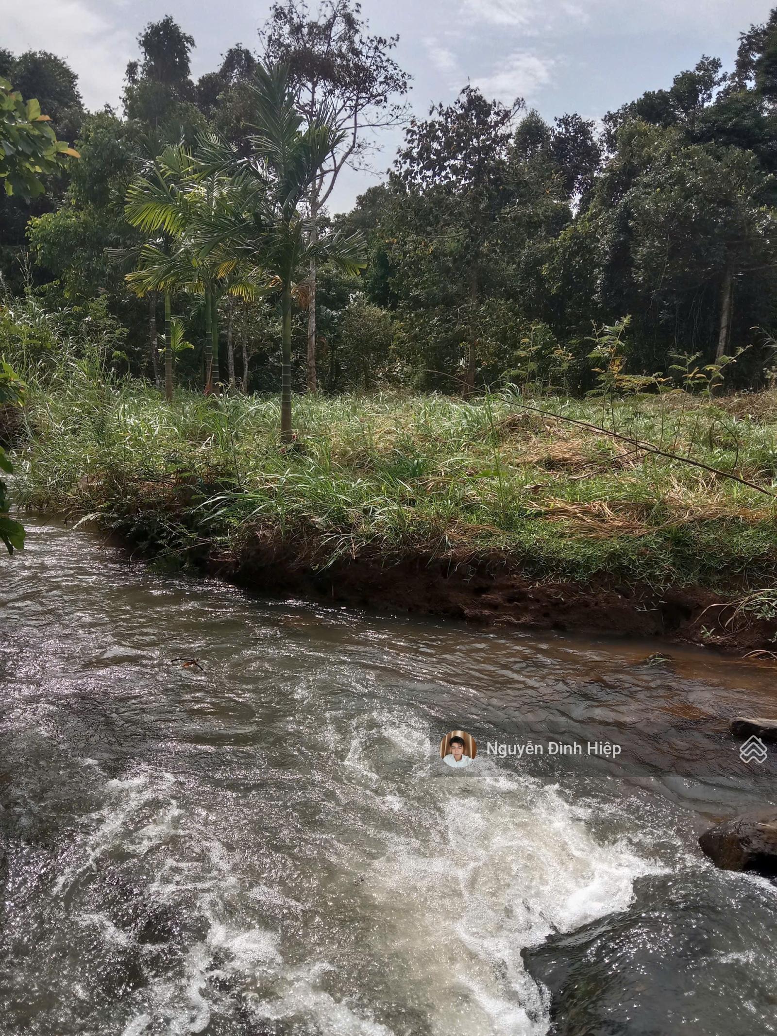 Bán đất Quảng Tân, 2.4ha, ôm Suối - Thác - Đảo, nhà vườn sầu riêng view đẹp, 2.4ha giá 1.8 tỷ Bán đất Quảng Tân, 2.4ha, ôm Suối - Thác - Đảo, nhà vườn sầu riêng view đẹp, 2.4ha giá 1.8 tỷ