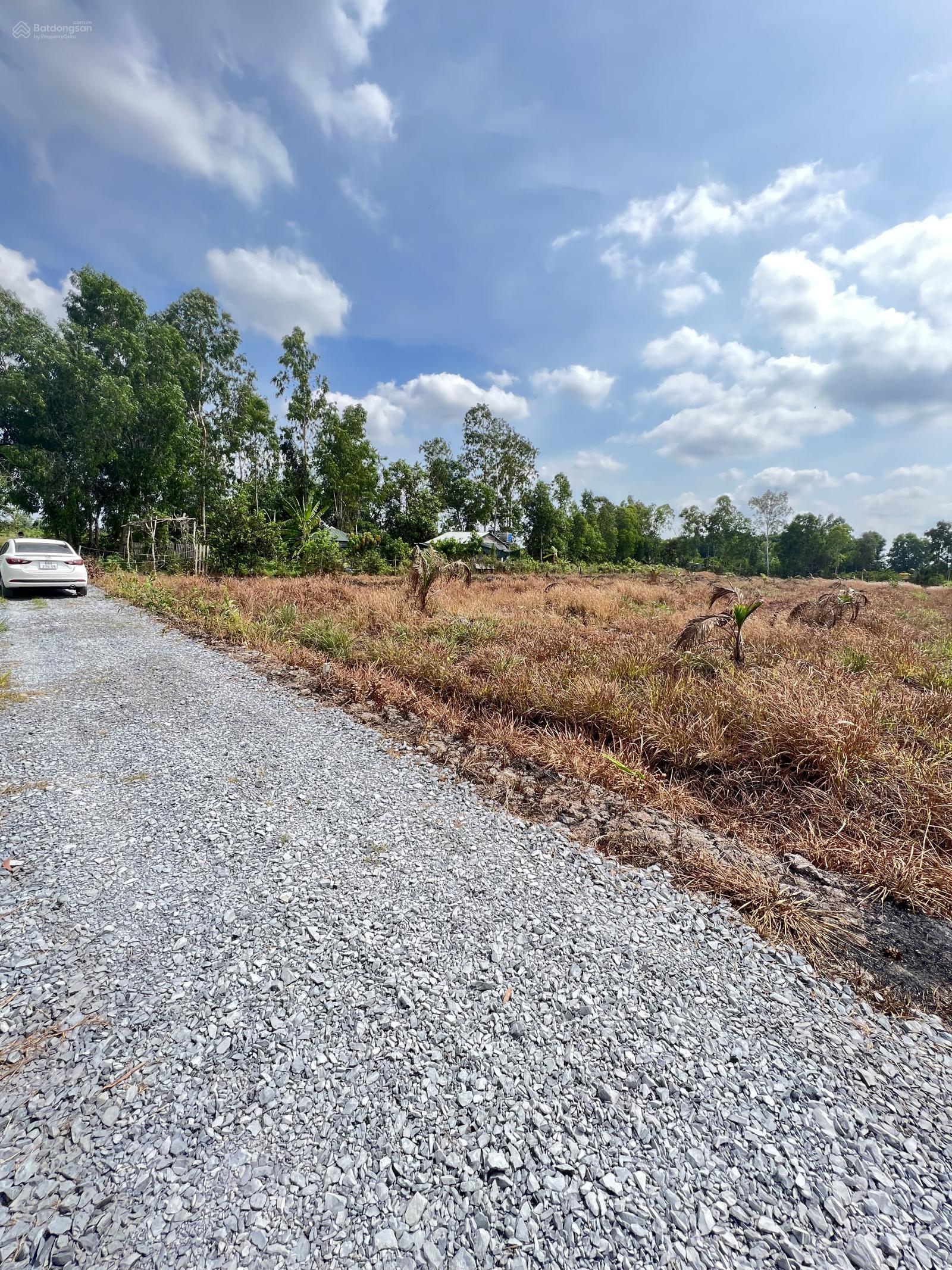 1200m2 Đất vườn đường ô tô tại Bình Đức, Bến Lức, Long An, đã san lấp nền và đào ao kế nhà vườn