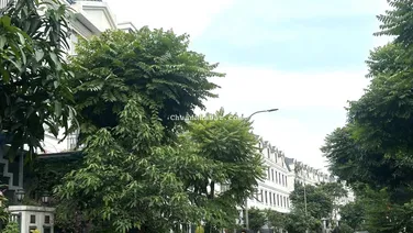 Chính chủ đi định cư nên cần bán nhanh căn nhà phố Lakeview City giá chỉ 15,8 tỷ