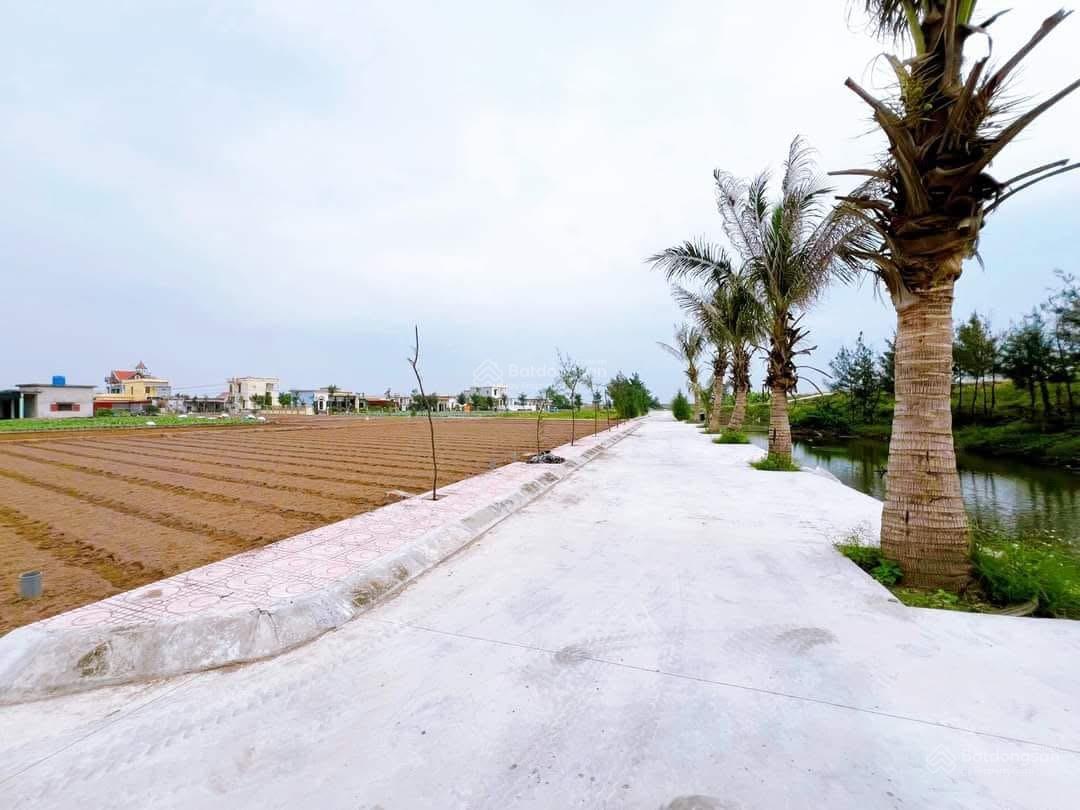 Chính chủ bán lô đất nền biển Quất Lâm đón sóng KCN Vsip, Flamingo giá rẻ chỉ từ 10tr/m2