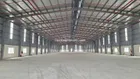 Cho thuê 3 xưởng ốp Panel, hiện đại, chuẩn khu Yên Mỹ DT 15.000m, 20.000m - 30.000m2 biệt lập