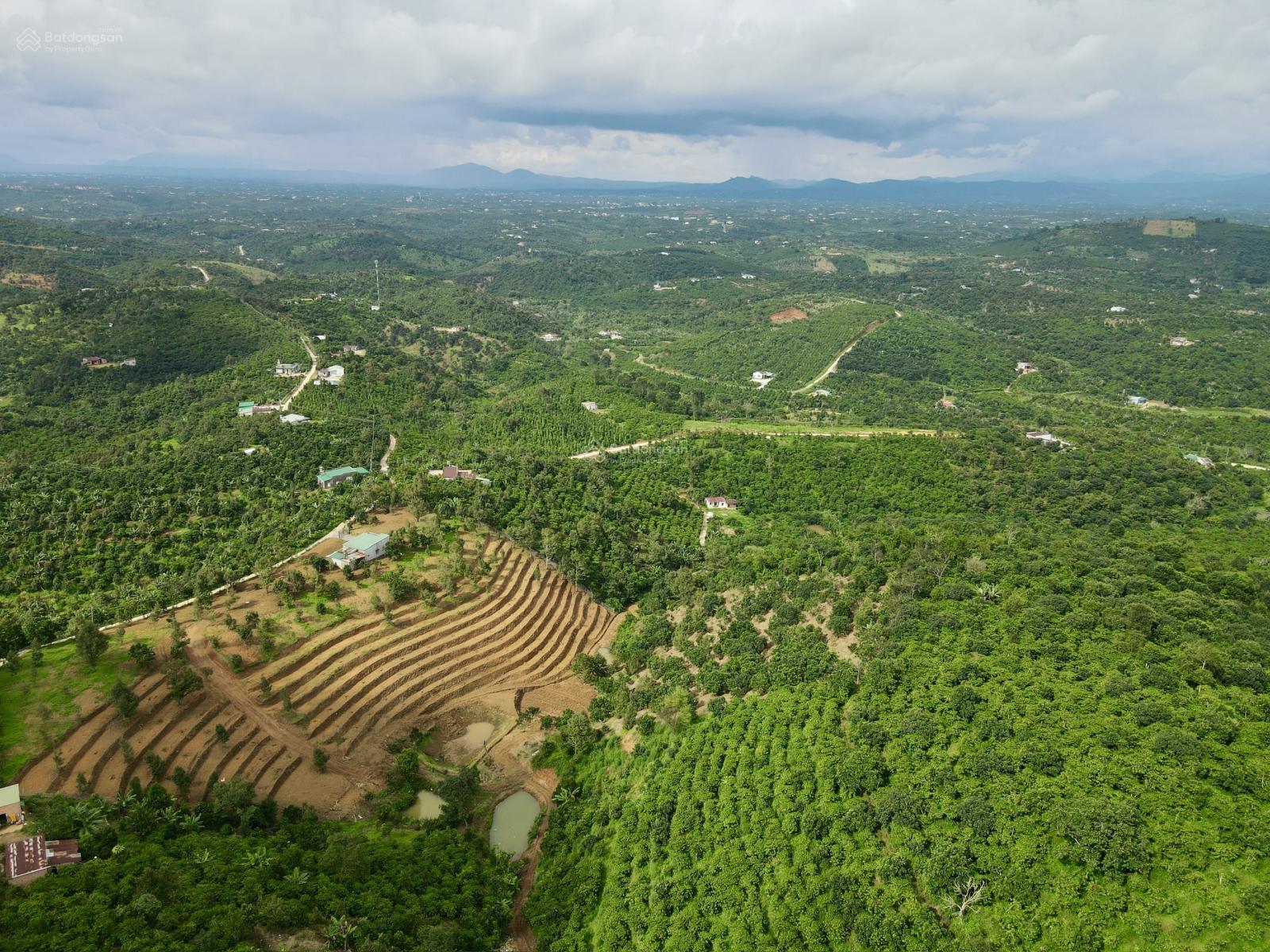 1,6 hecta đất vườn thổ cư, 300m đường bao quanh đất view đẹp 1,6 hecta đất vườn thổ cư, 300m đường bao quanh đất view đẹp