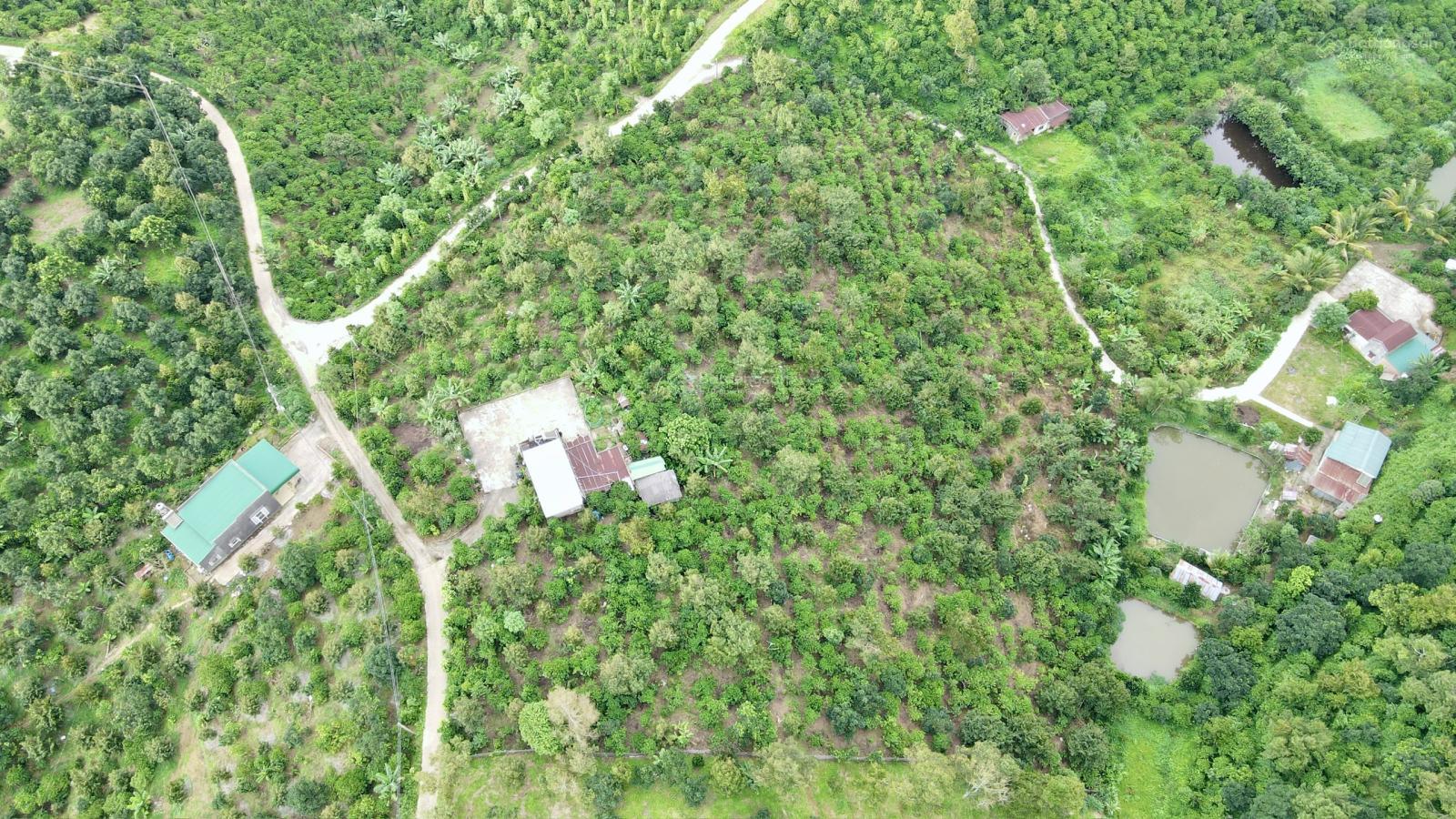 1,6 hecta đất vườn thổ cư, 300m đường bao quanh đất view đẹp 1,6 hecta đất vườn thổ cư, 300m đường bao quanh đất view đẹp