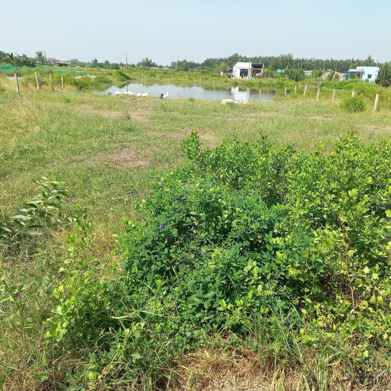 Bán lô đất nông nghiệp xã Phước Lại mặt tiền đường xe hơi DT 1.545m2. Giá 2tỷ 0909 076 ***