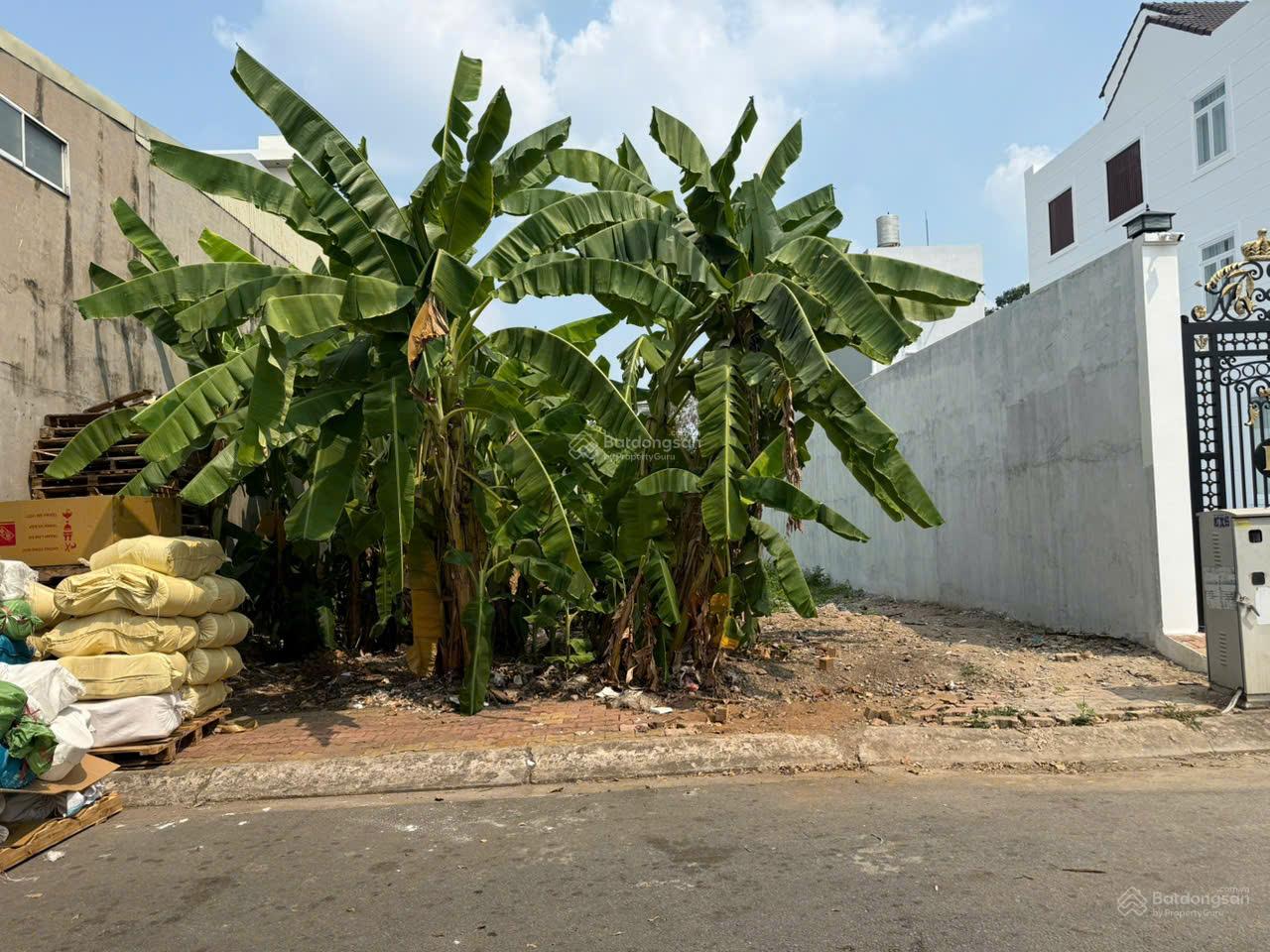 Đất 245m2 (10x24,5m), full thổ cư, ngay bờ sông rẻ nhất khu, xây biệt thự vườn ven sông
