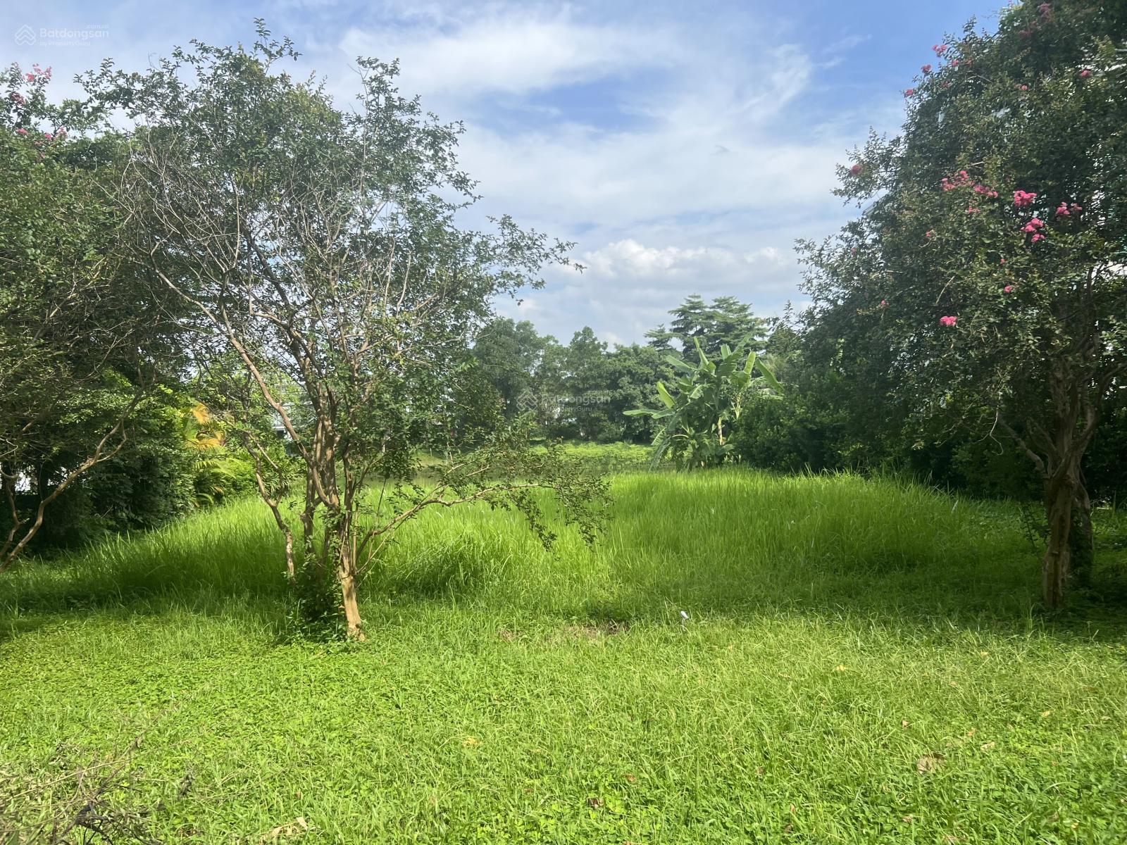 Bán lô biệt thự Flamingo Đại Lải Resort, DT 320m2 giá 13 tỷ - sổ đỏ lâu dài. LH 0939 668 ***