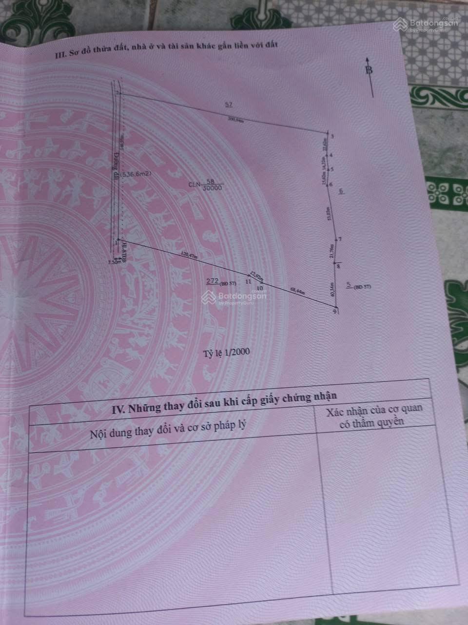 Diện tích 3 hecta QH CLN ở Uyên Hưng Diện tích 3 hecta QH CLN ở Uyên Hưng