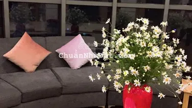 Bán căn góc hoa hậu 3 ngủ, 124m2 tại chung cư The Golden Palm Lê Văn Lương, giá 11 tỷ có TL.