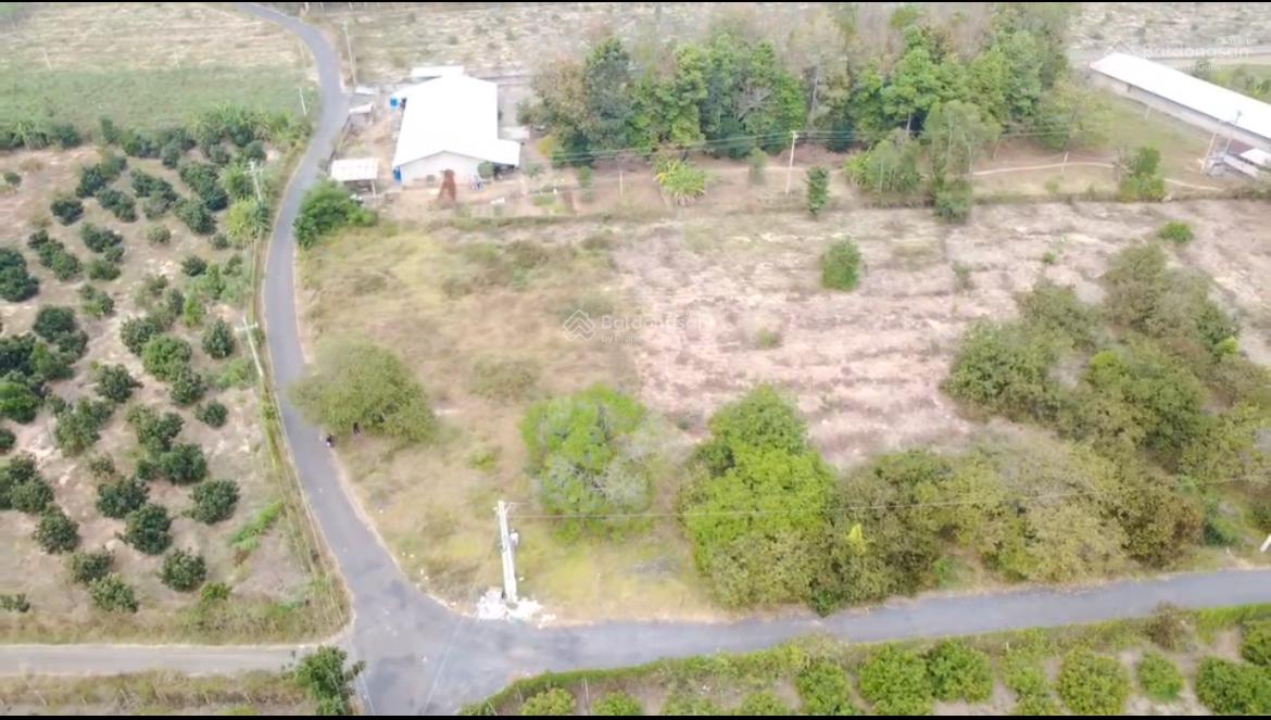 Đất Phước Tân, 1000m2 full hồng. Đường nhựa 7m cách TL 328 chỉ 500m
