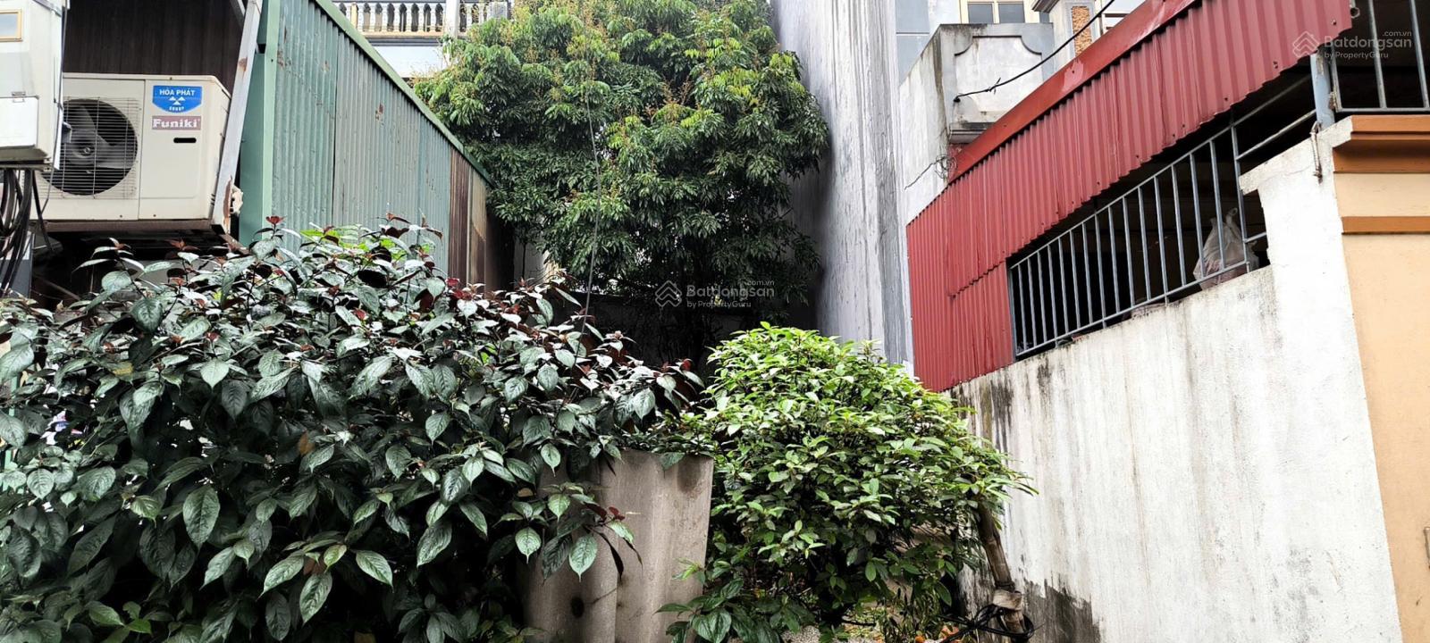 Bán đất oto vào nhà, đường rộng tại Thúy Lĩnh, Lĩnh Nam, Hoàng Mai, Hà Nội, 150 triệu / m2