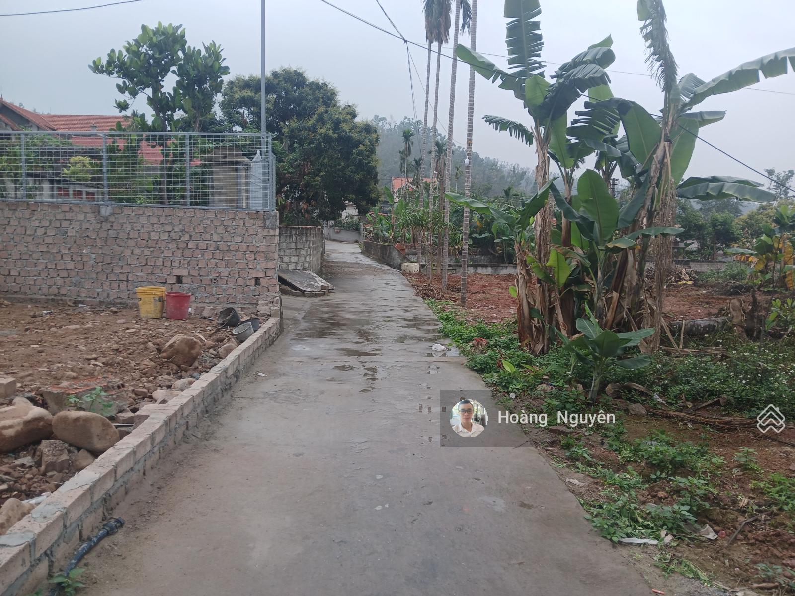 Bán lô đất 60m2 hàng F0 phường Thủy Đường ngay trung tâm Núi Đèo, TP Thủy Nguyên giá rẻ