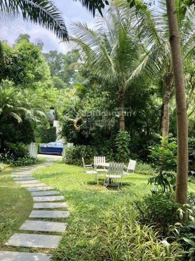 Căn Charm 242m2, 2 sân vườn, tổng diện tích sử dụng lớn nhất dãy mà giá chỉ 13,5 tỷ full tiện ích
