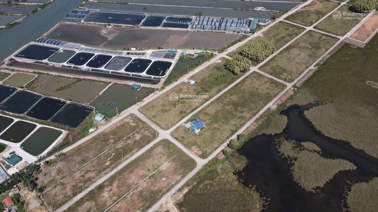 Bán đất Tân Thành, Cành Chẽ, Xóm Máng giáp khu quy hoạch Vin Hạ Long Xanh