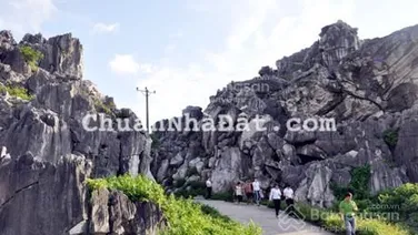 Bán đất quy hoạch xen kẹp xã đảo Hoàng Tân, lõi dự án Hạ Long Xanh