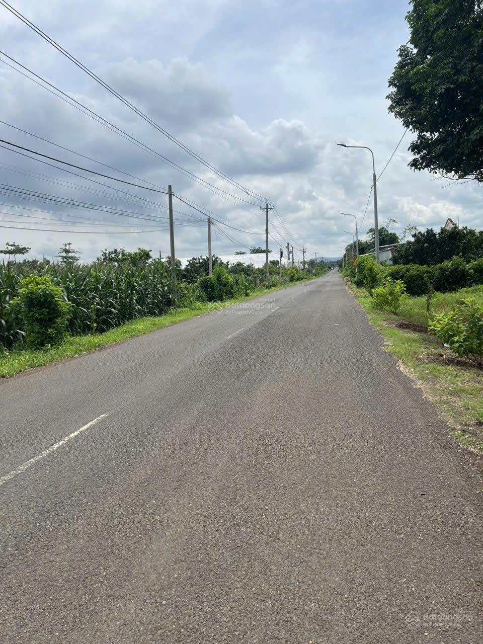 Cần bán gấp 14.200m2 Xuân Tây Cẩm Mỹ tỉnh Đồng Nai giá 14.5tỷ (TL) Cần bán gấp 14.200m2 Xuân Tây Cẩm Mỹ tỉnh Đồng Nai giá 14.5tỷ (TL)