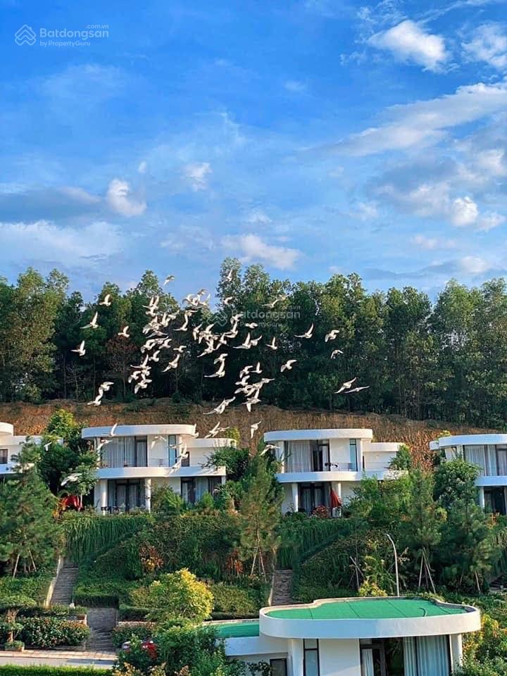 Bán gấp Biệt thự 400m2 full nội thất. View hồ đẹp nhất dự án. Giá chỉ 6.2 tỷ. Sổ đỏ lâu dài Bán gấp Biệt thự 400m2 full nội thất. View hồ đẹp nhất dự án. Giá chỉ 6.2 tỷ. Sổ đỏ lâu dài