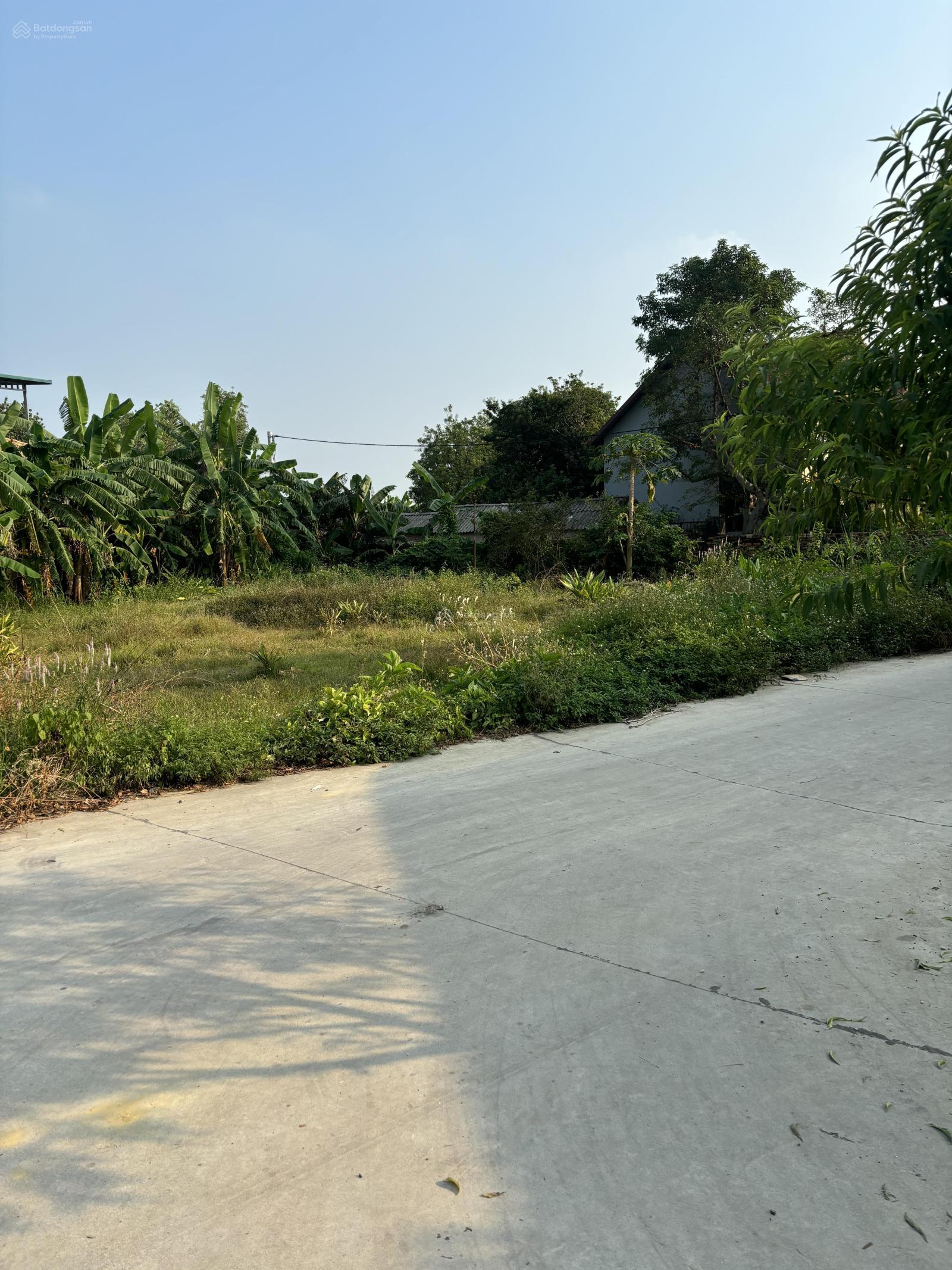 Bán đất MĐ Quốc Lộ 14 thôn Phú Ninh, xã Minh Phú Sóc Sơn. DT 566m2 giá 16,5tr/m2 lô góc 3MT