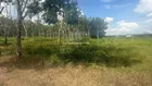 Bán đất tại Long Vĩnh, Châu Thành, Tây Ninh, giá tốt đầu tư, 545m2, quy hoạch khu dân cư, gần TT