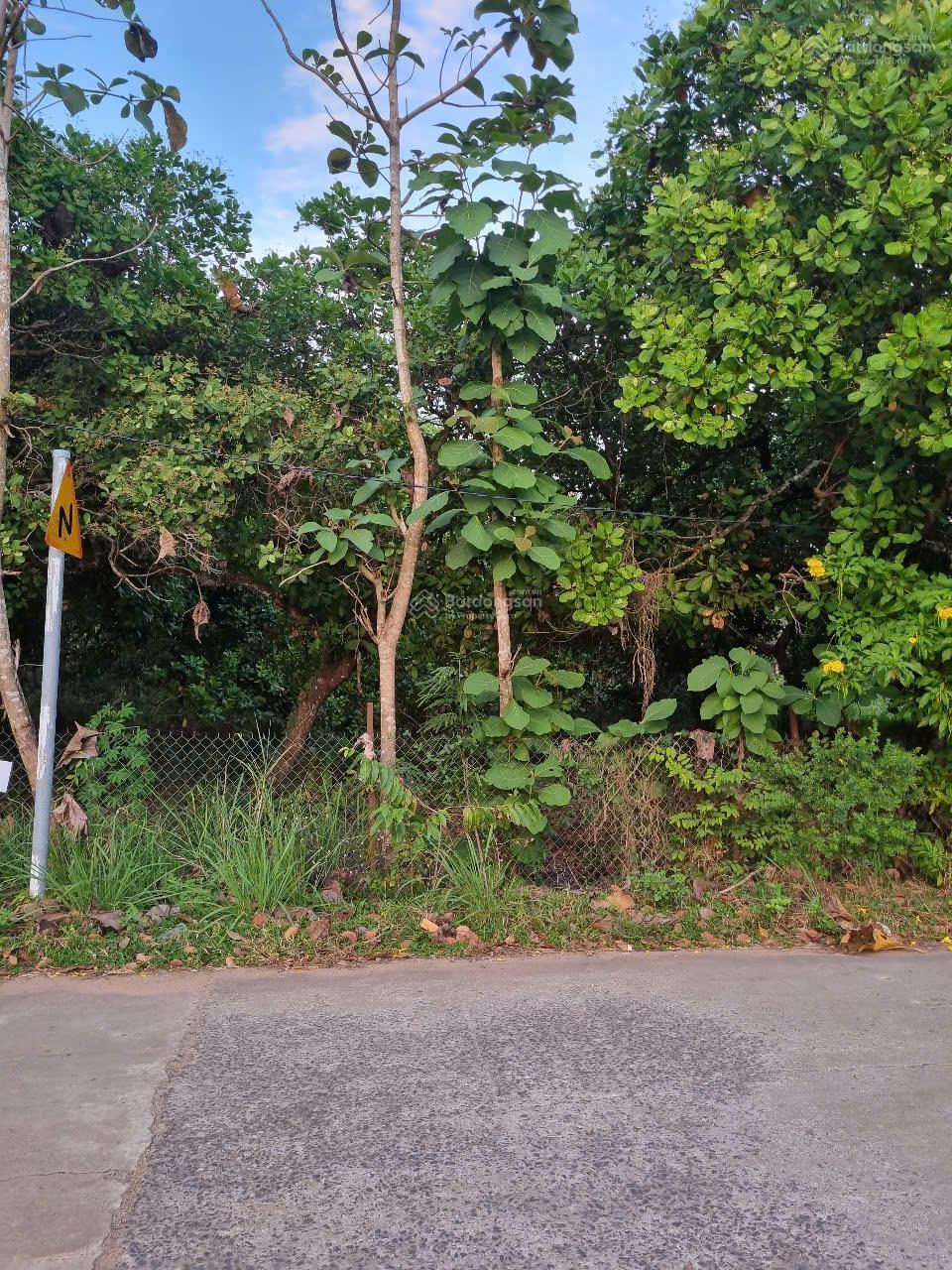 Chính chủ bán đất Hoàng Hoa Thám, Ấp 7, Gia Canh, Định Quán - Giá 1,4 tỷ - DT 225 m2