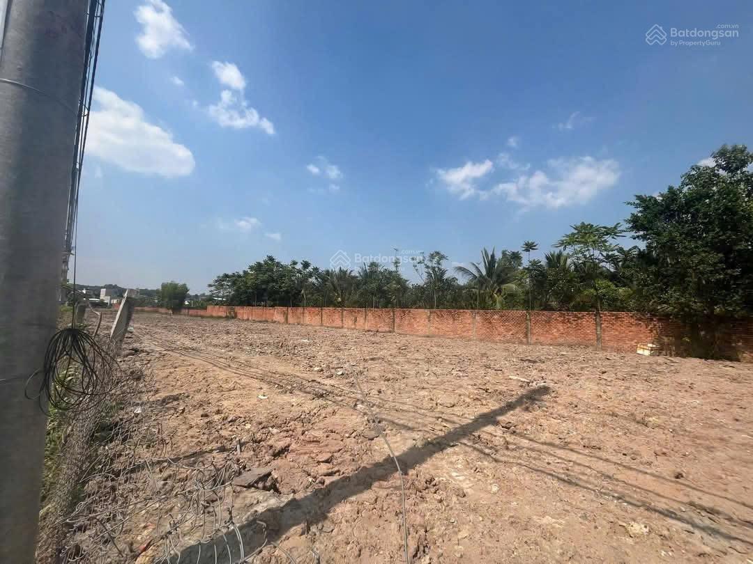 Bán đất ngộp ngân hàng full thổ TP HCM