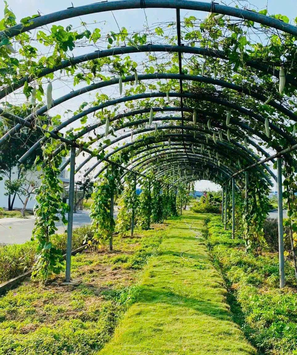 Bán nhanh nền góc ngã tư vị trí đẹp 94m2 sổ sẵn trước 2 tỷ không bán nay còn 1,550 tỷ