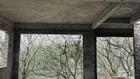Bán BT đẹp tại Khu đô thị Hà Phong, 59 triệu/m2, 300m2