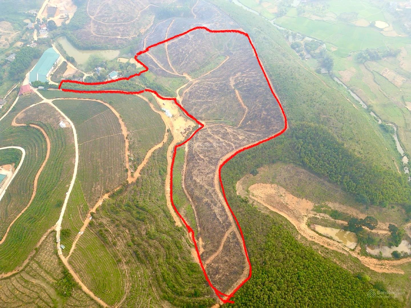 6.5ha CLN và RSX Tất Thắng, Thanh 6.5ha CLN và RSX Tất Thắng, Thanh Sơn cách Wyndham Thanh Thuỷ 8km
