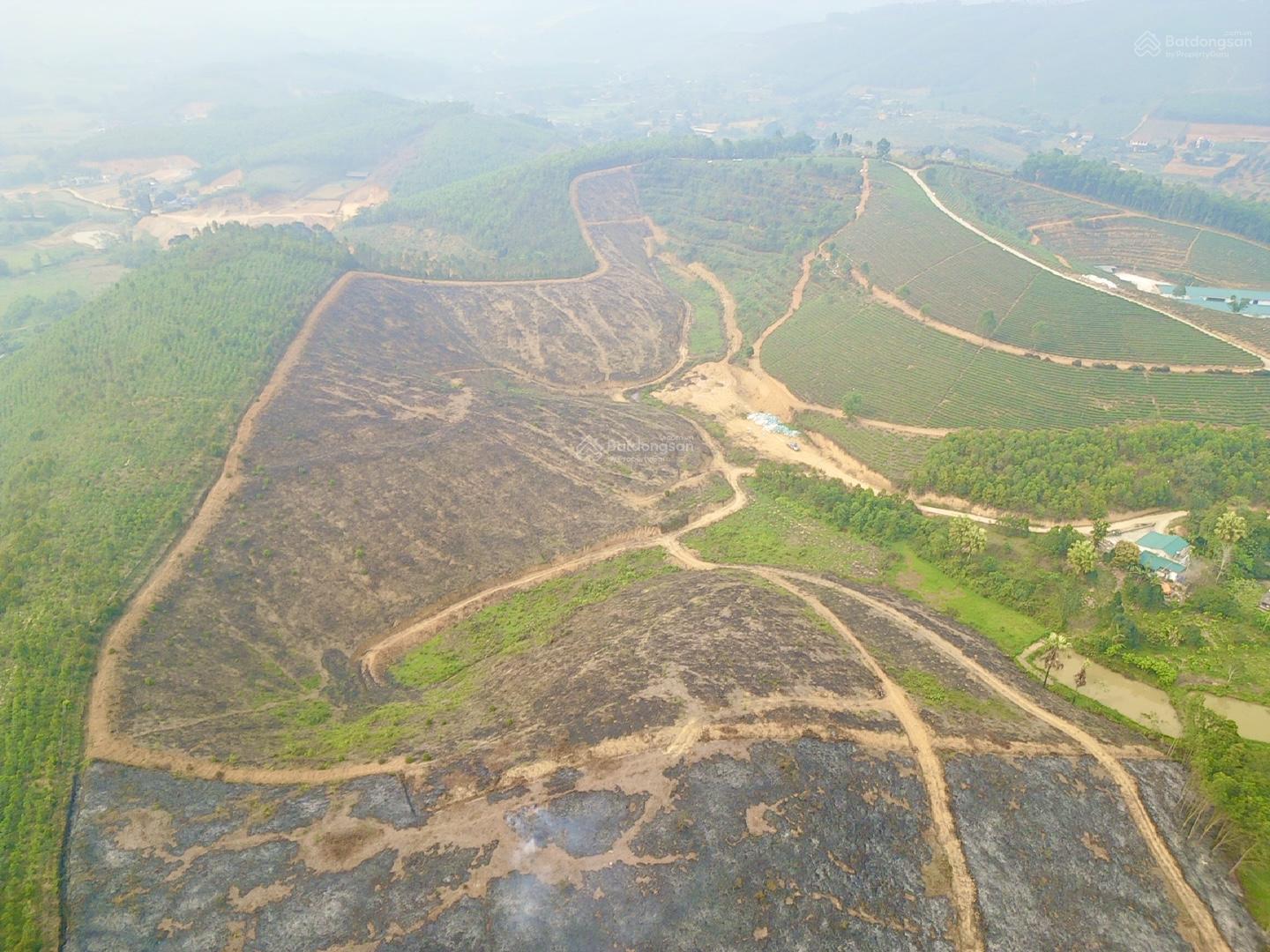 6.5ha CLN và RSX Tất Thắng, Thanh 6.5ha CLN và RSX Tất Thắng, Thanh Sơn cách Wyndham Thanh Thuỷ 8km
