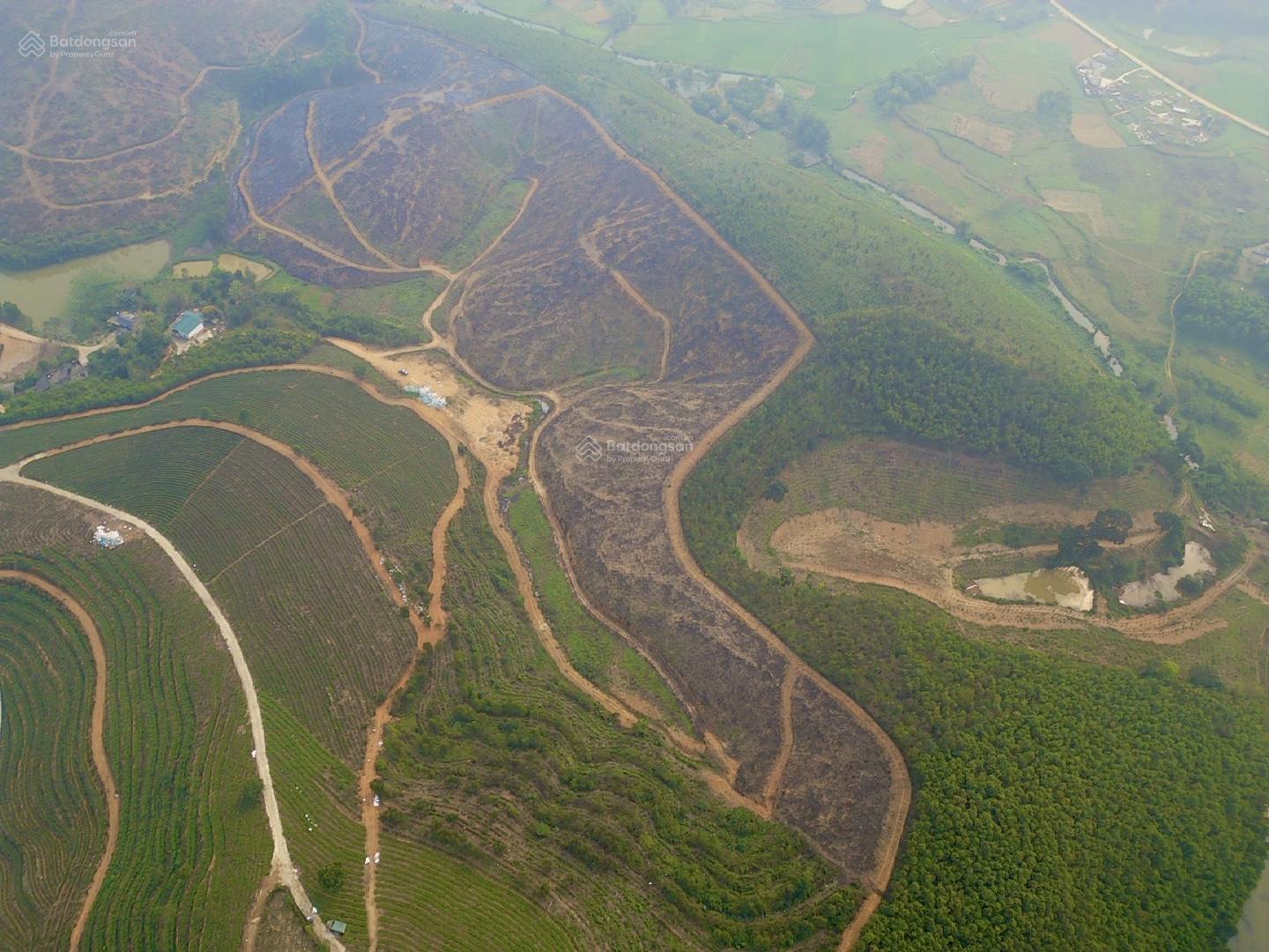 6.5ha CLN và RSX Tất Thắng, Thanh 6.5ha CLN và RSX Tất Thắng, Thanh Sơn cách Wyndham Thanh Thuỷ 8km