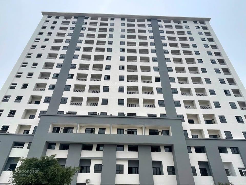 Bán căn hộ 3 ngủ DT 69.9m2 ngay trung tâm TP Thanh Hóa gần Aeon Mall