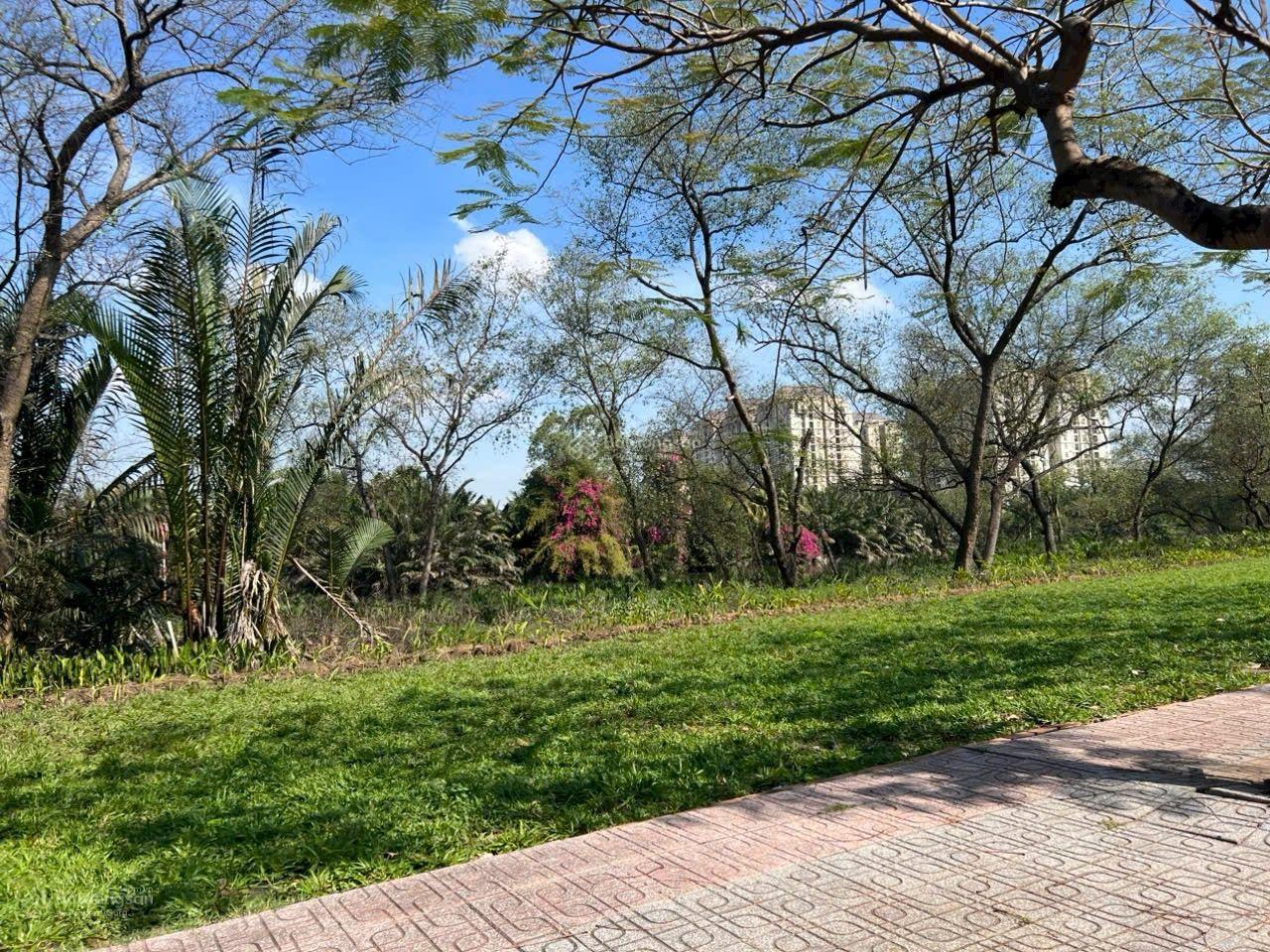 Bán nhanh lô đất 200m2 gần Global Quận 2, giá 82 triệu/m2 sổ riêng