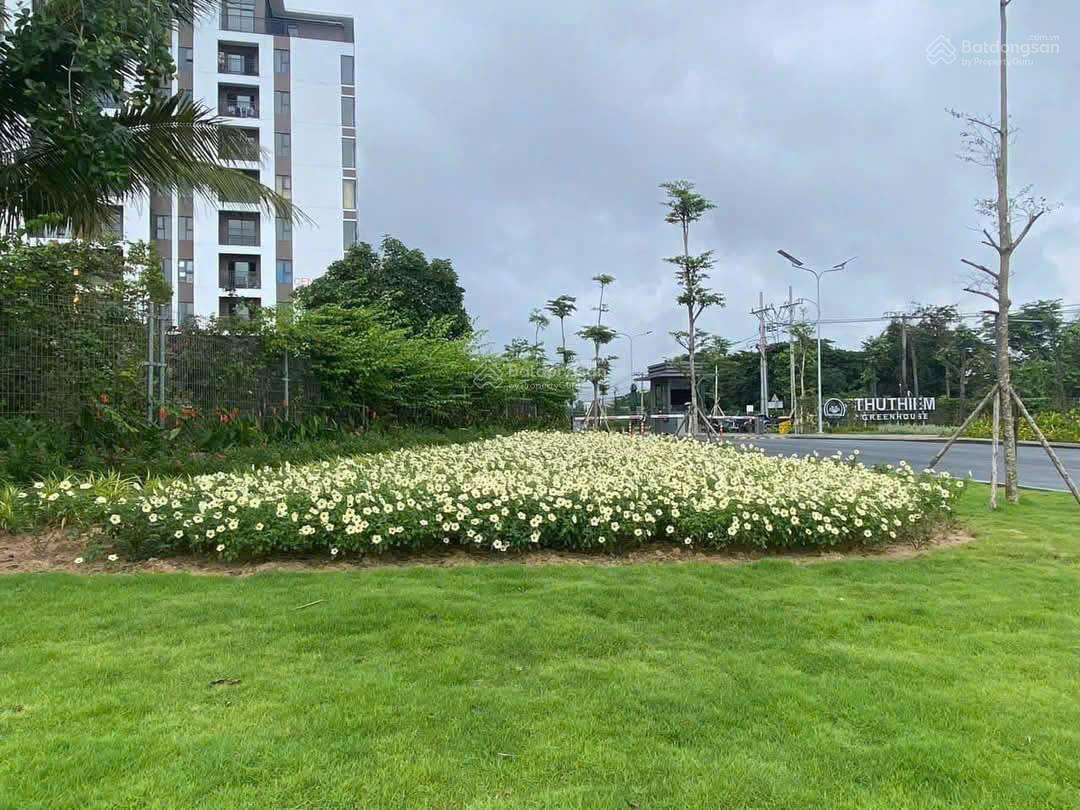 Giá trực tiếp chủ đầu tư block C anh chị cần giá studio, 1PN, 62m2, 68m2 (góc) L/H em báo giá nha