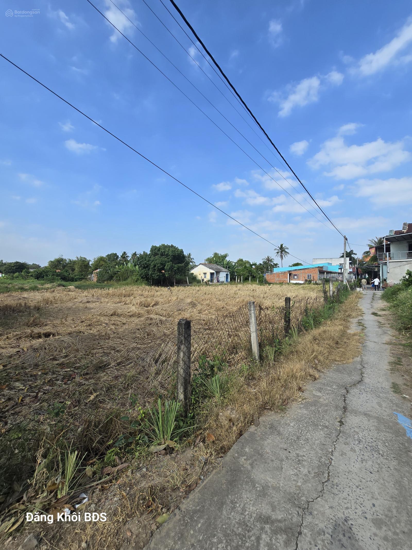 Bán 4000m2 có nhà 300m2 thổ. Cách QL 50 200m. Giá 16.8 tỷ TL. Cần Giuộc, Long An