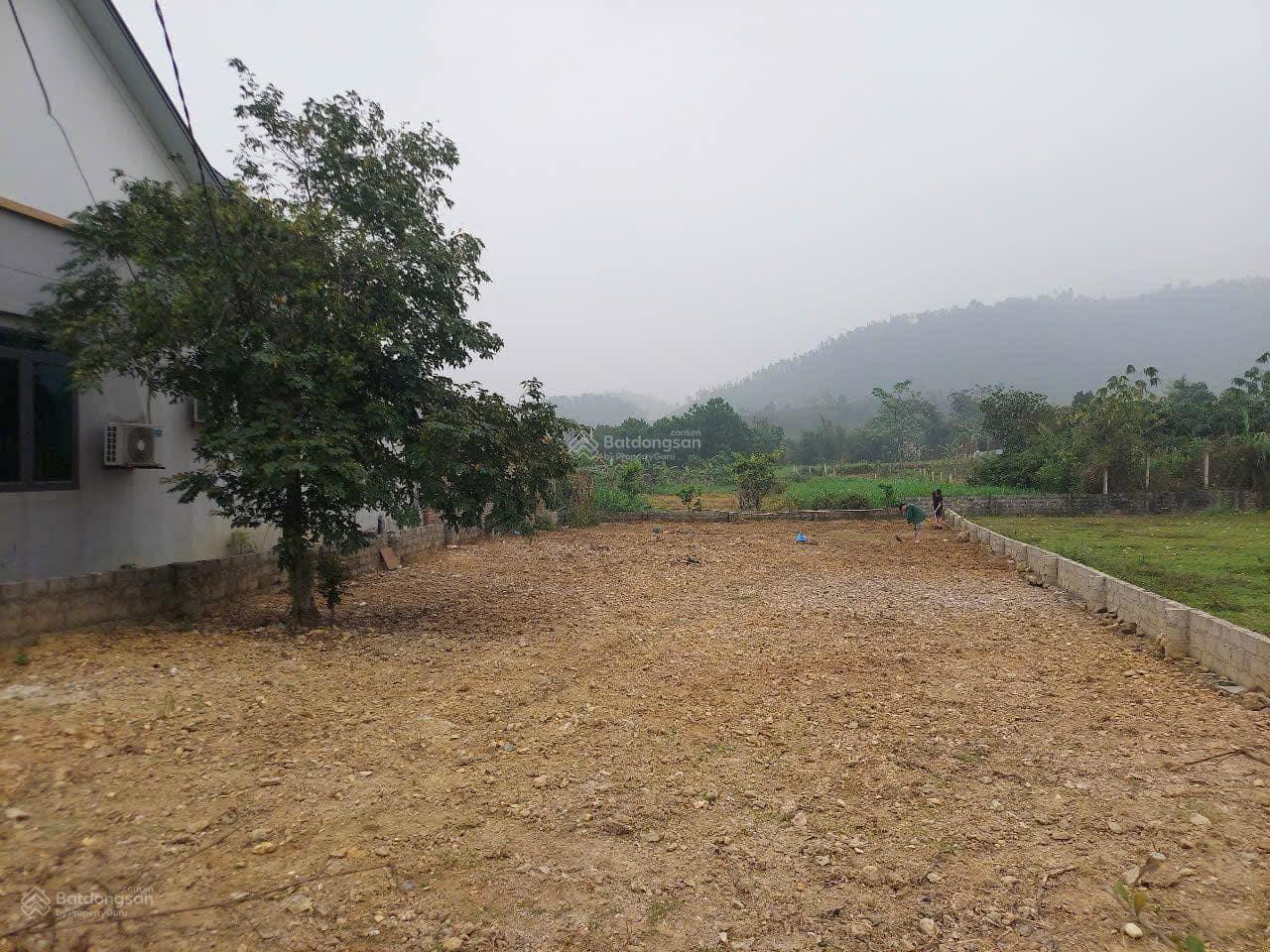 Rẻ lại còn đẹp nhỉnh 2 tỷ 462m2 làm vườn rau nhỏ xinh chăn vài con gà và cái nhà nhỏ chill chill