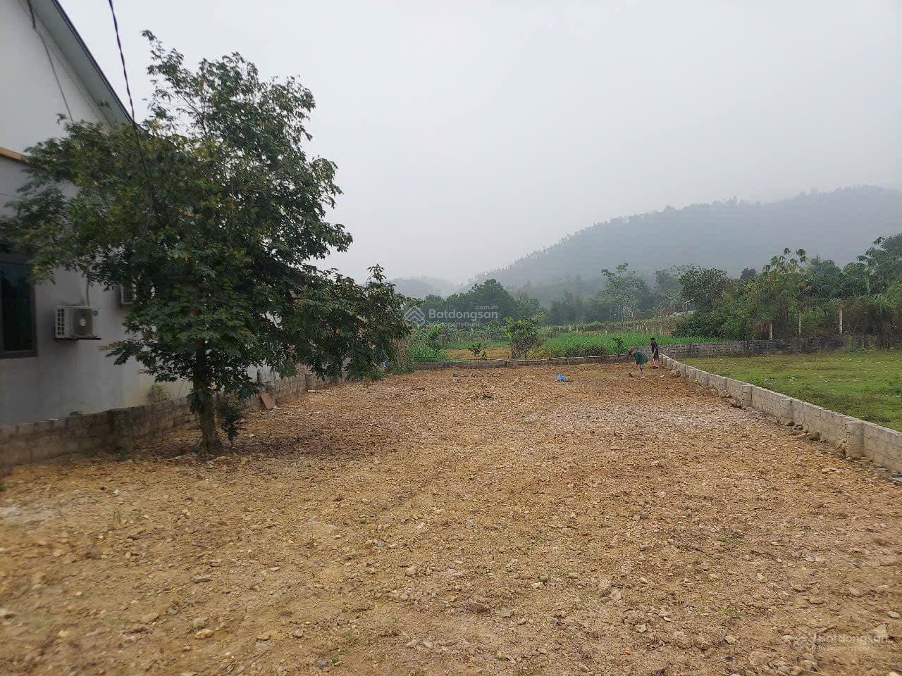 Rẻ lại còn đẹp nhỉnh 2 tỷ 462m2 làm vườn rau nhỏ xinh chăn vài con gà và cái nhà nhỏ chill chill