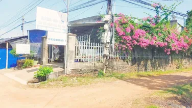 Đất vườn 1971 m2 có 223m thổ cư, vườn nhãn đang cho trái sum suê, đường bê tông,sát chợ trường học