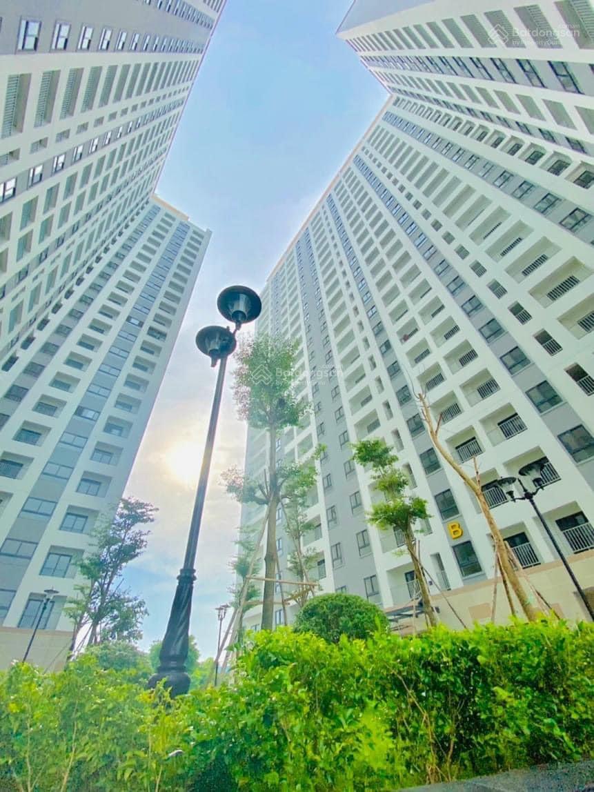 Cần bán nhanh 2PN 55m2 chung cư Iris Tower chỉ 1.4x tỷ ko phát sinh Cần bán nhanh 2PN 55m2 chung cư Iris Tower chỉ 1.4x tỷ ko phát sinh