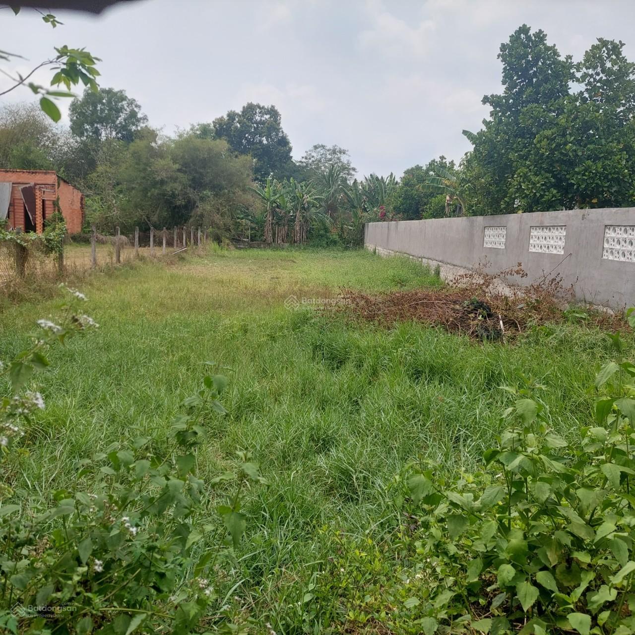 Bán đất khu dân cư hiện hữu ngay ngã 3 Tỉnh Lộ 7 - Cây Trôm Mỹ Khánh đất thổ cư XD ngay