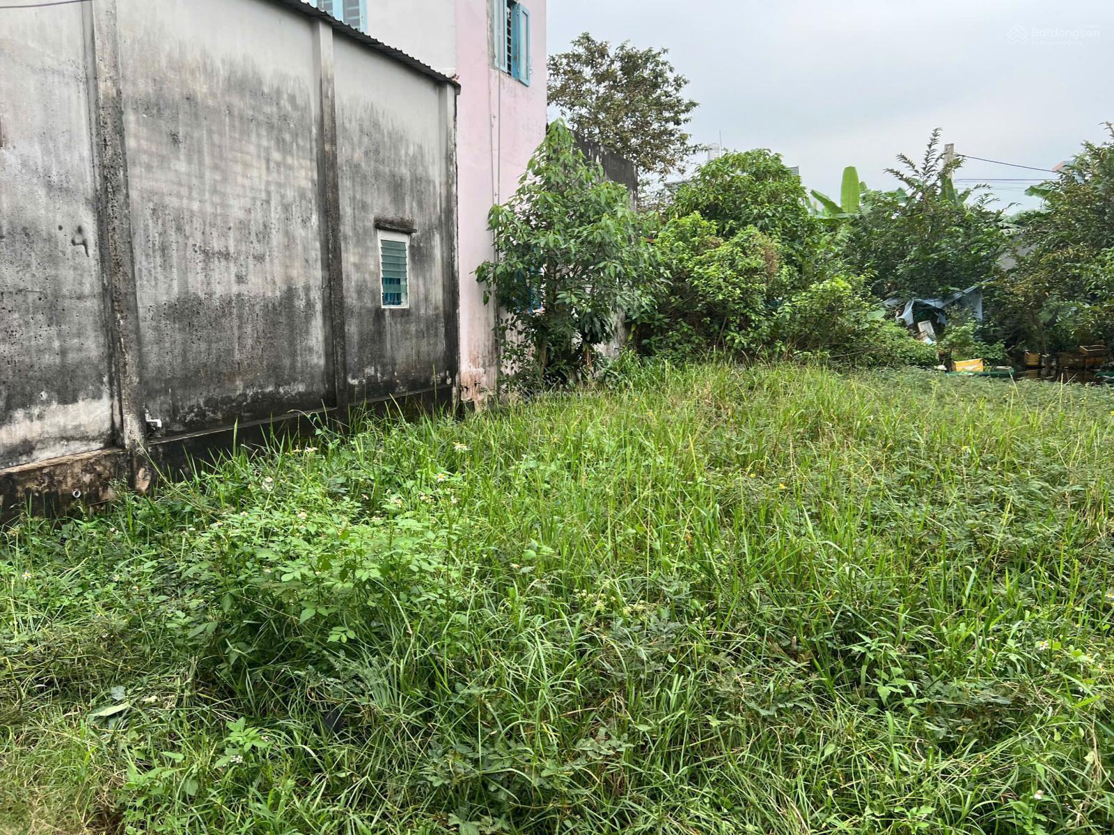 Chủ cần bán lô đất vườn đường oto phường Long Phước 369m2 giá 15.5tr/m2 Chủ cần bán lô đất vườn đường oto phường Long Phước 369m2 giá 15.5tr/m2