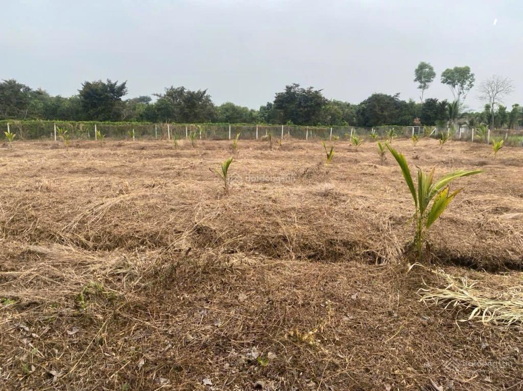 Bán đất sổ hồng riêng tại ấp Ruộng Tre, Bảo Quang, Long Khánh, Đồng Nai (500tr/sào có thương lượng)