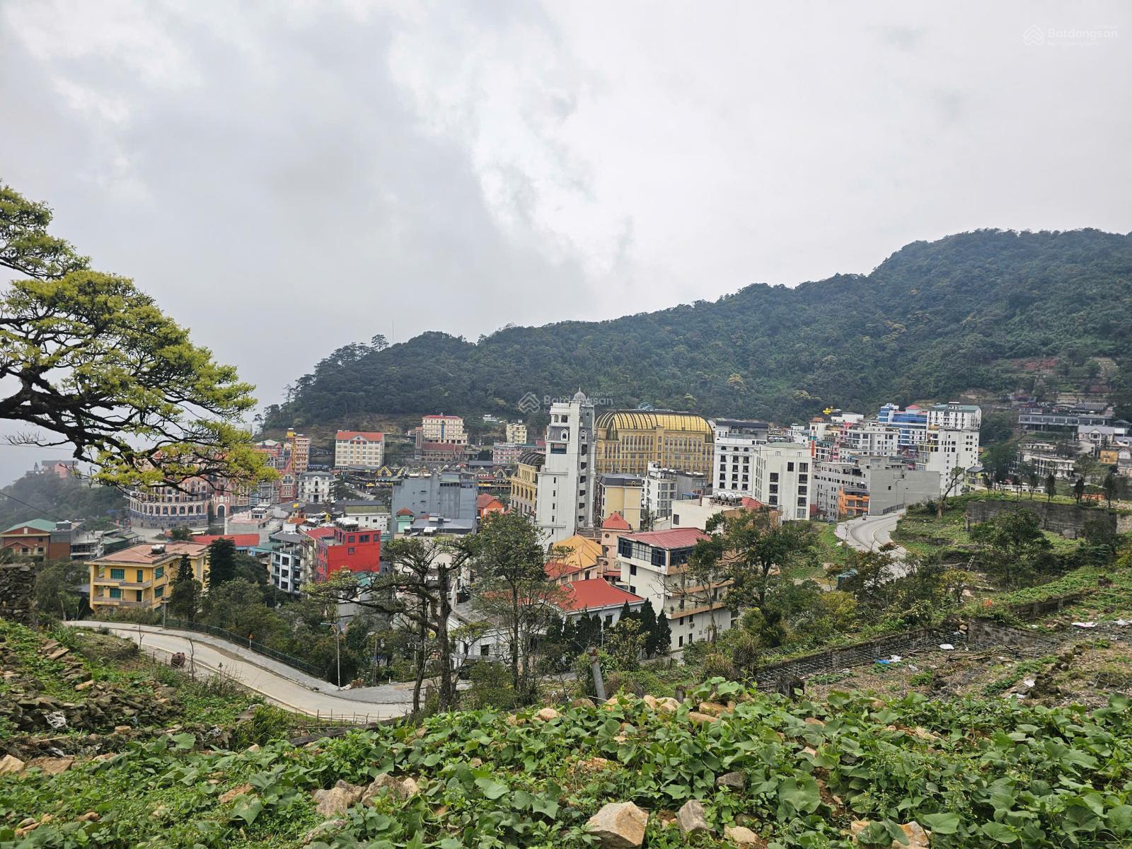 Cần bán gấp lô đất 451m2 x 21m mặt tiền, giá cực rẻ chỉ 26 tỷ, tại thị trấn Tam Đảo, Vĩnh Phúc