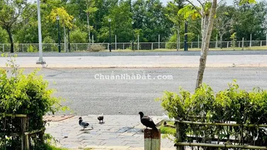 Chủ cần bán nhanh lô đất vị trí đẹp khu A2, ko xây, giá đầu tư tốt
