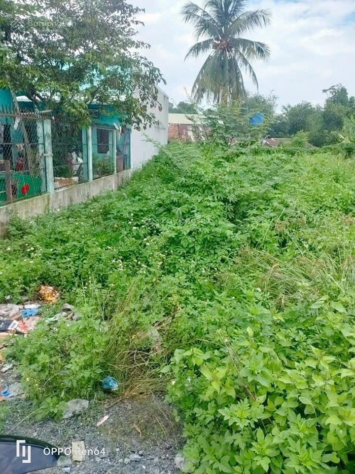 Bán gấp đất, Nguyễn Kim Cương, Tân Thạnh Đông, Củ Chi, 197m2. Sổ hồng riêng 1tỷ1