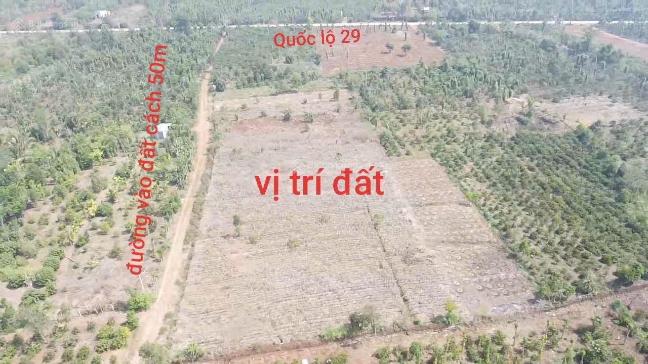 Bán đất xã Eadrong - Buôn Hồ giá chỉ 190 triệu cách Quốc Lộ 29 chỉ 50m